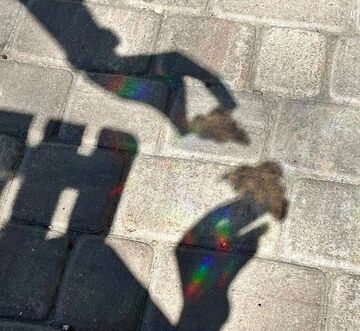 Sunny Sticker cloud