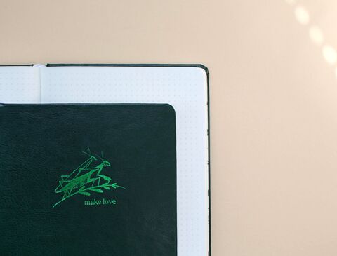 Блокнот Богомол