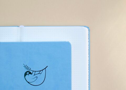 Блокнот Лінивець