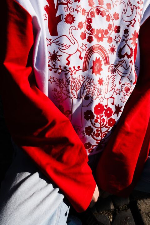 Longsleeve Spring red sleeves