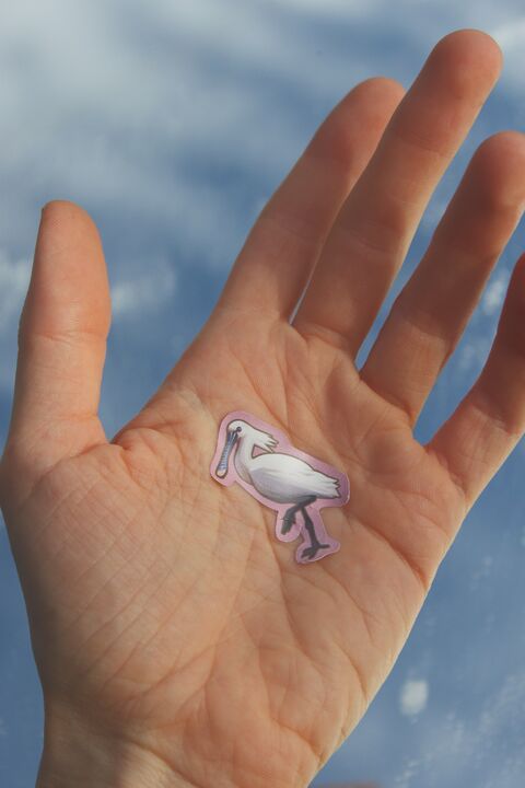 Озеро Сиваш міні