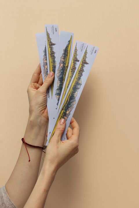 Чорногора велика