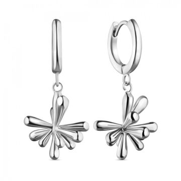 Navsibych earrings