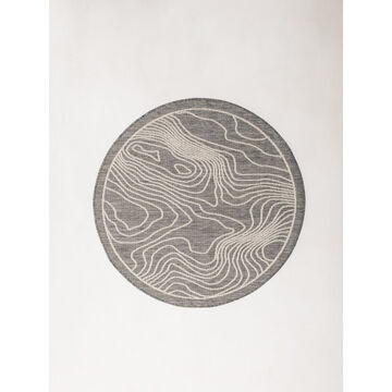 Landscape alley carpet is gray