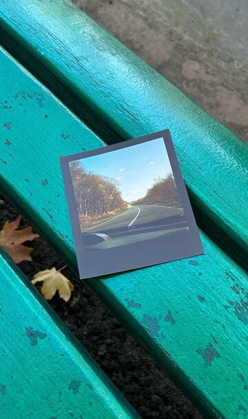 Postcard: Road and Trees