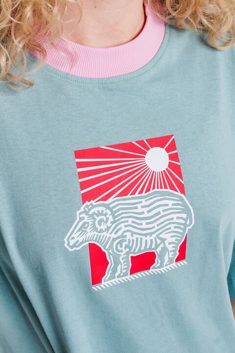 Футболка Йшов баранець полем, а сонце світило