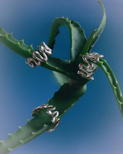 Ring Vodogray