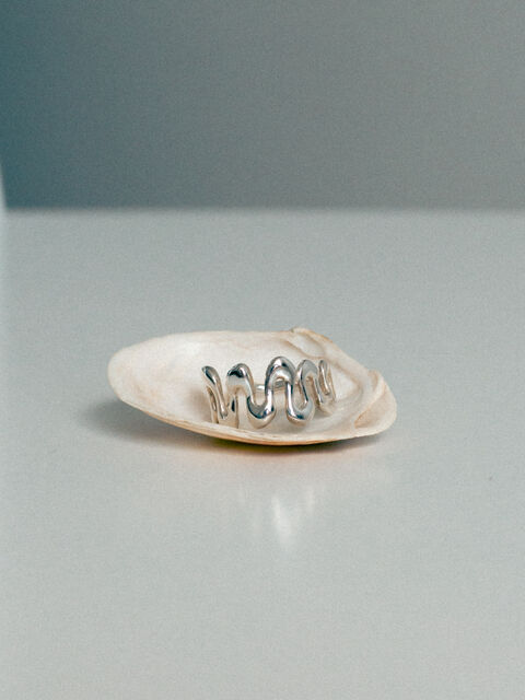 Ring Vodogray