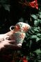 Cup with orange flowers