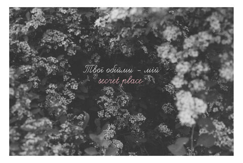 Postcard Secret place