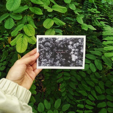 Postcard Secret place