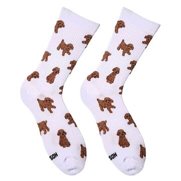 White Maltipoo socks