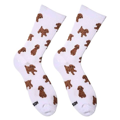 White Maltipoo socks