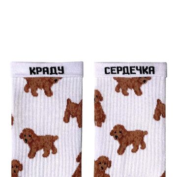 White Maltipoo socks