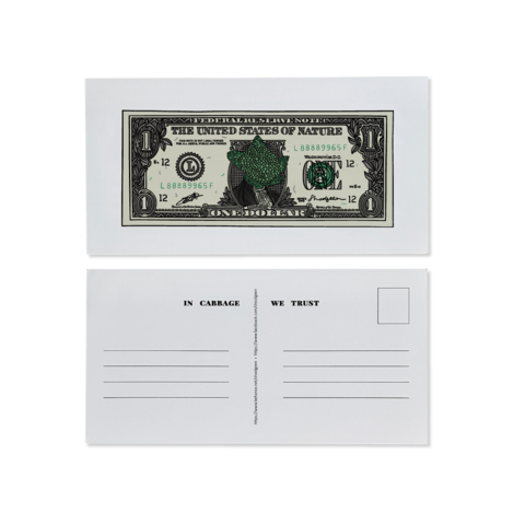 Postcard with Cabbage Dollars "1$"