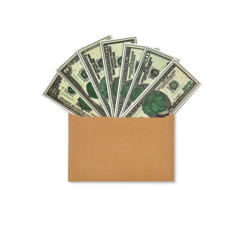 Sticker Set Cabbage Dollars