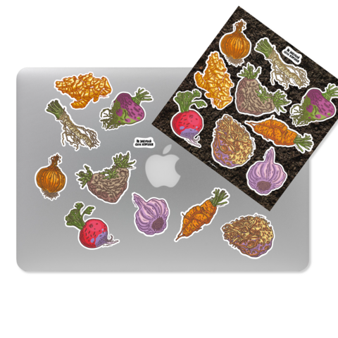 Sticker Set Don’t Forget Your Roots