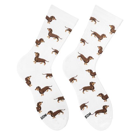 Socks Dachshunds