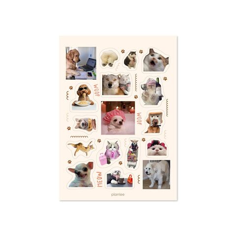 Stickers CatDog