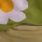 Bloom Blanket