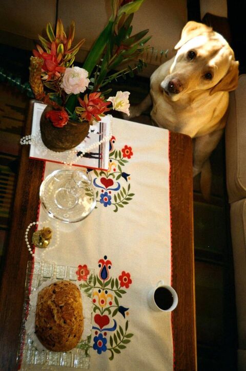 Вишитий ранер для столу Живограй