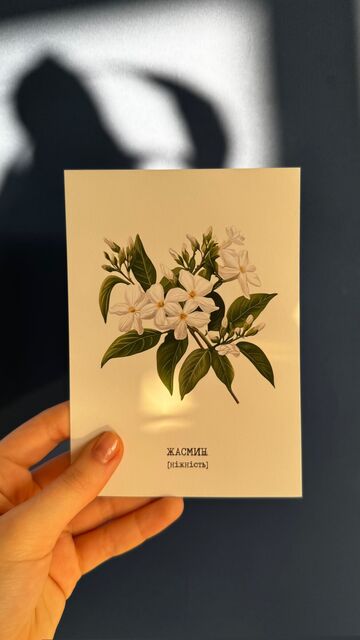 Postcard Jasmine