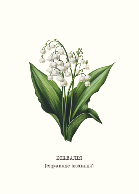 Lily of the Valley Postcard