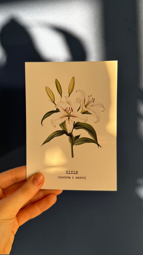 Postcard Lily