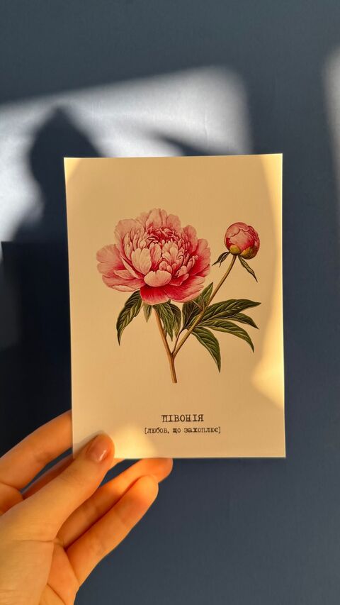 Postcard Peony