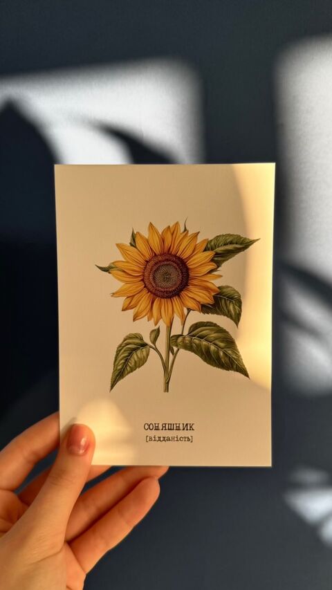 Postcard Sunflower