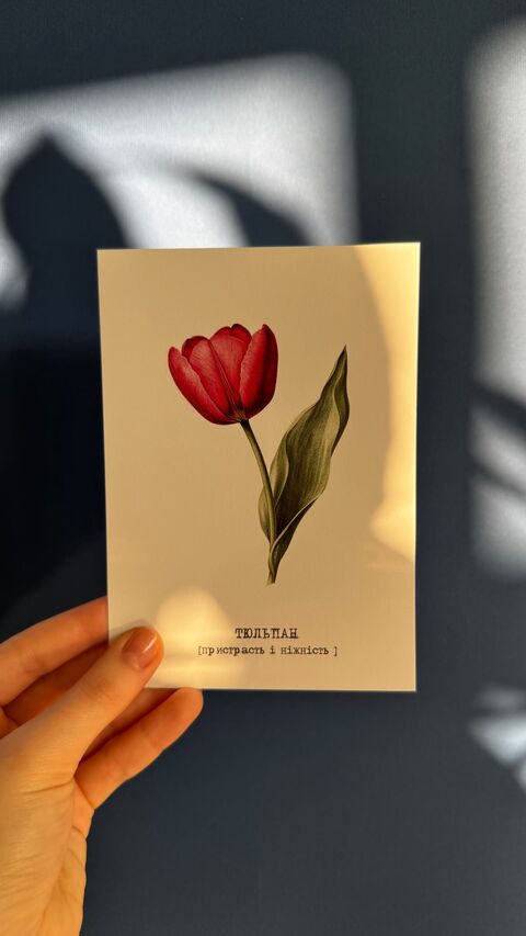 Postcard Tulip