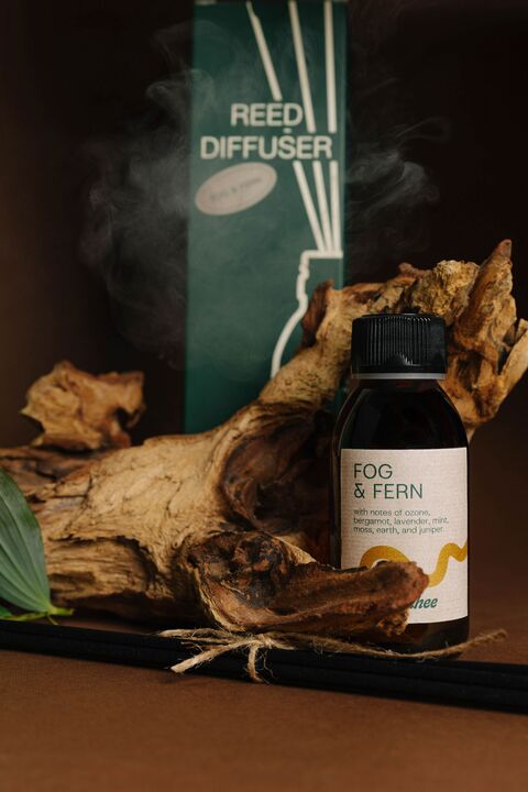 Дифузор "Туман і папороть"