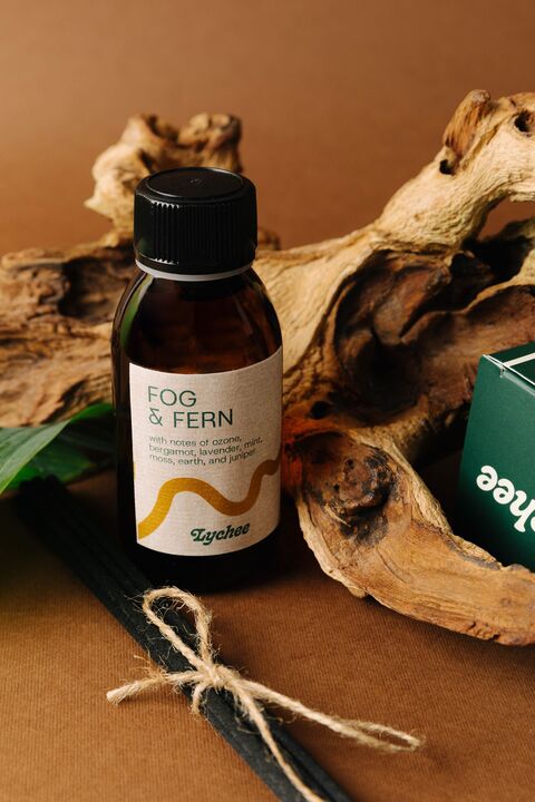 Дифузор "Туман і папороть"
