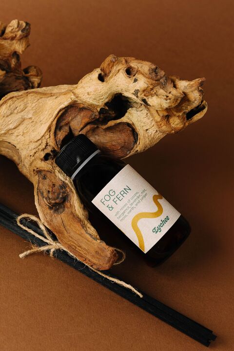 Дифузор "Туман і папороть"