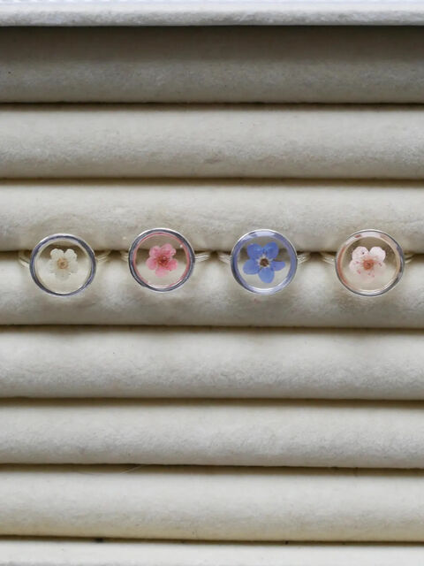 Біла каблучка Spirea