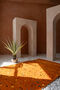 Rug "Splash" Orange