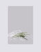 Rug True Art Grey