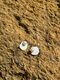 Stud jacket earrings "Amorf Pearl" with mother-of-pearl