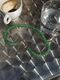 Necklace "Emerald"