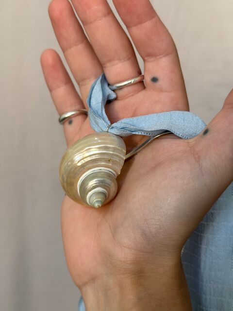 Підвіс "Shell" на стрічці