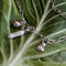 Pearly charm