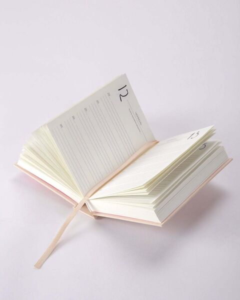 Pink Five-Year Planner