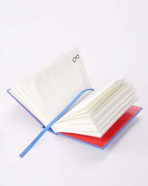 Blue Five-Year Planner