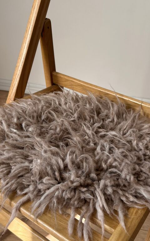 Сидунець коричневий