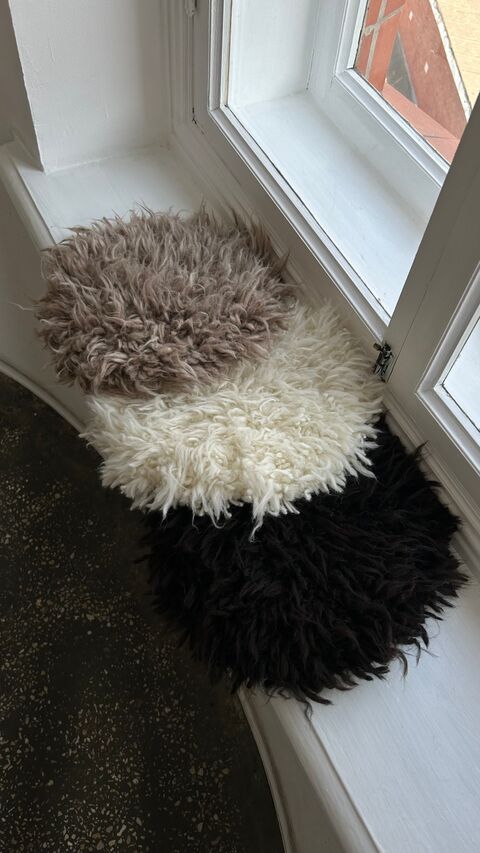 Сидунець чорний