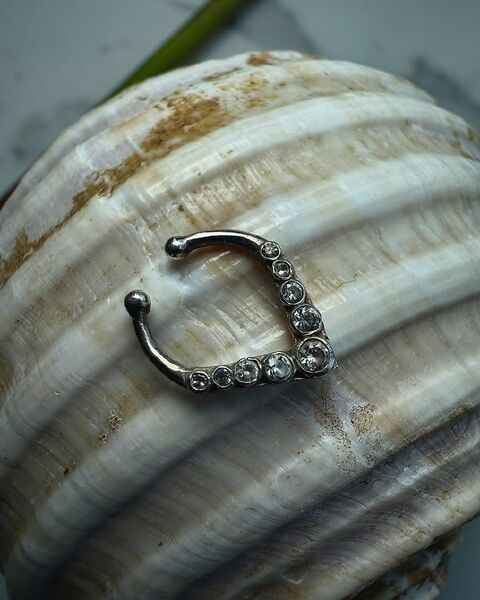 Septum Secret Legend