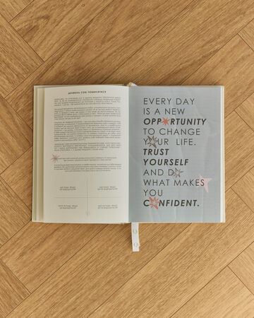 Планер "Zefir 2"