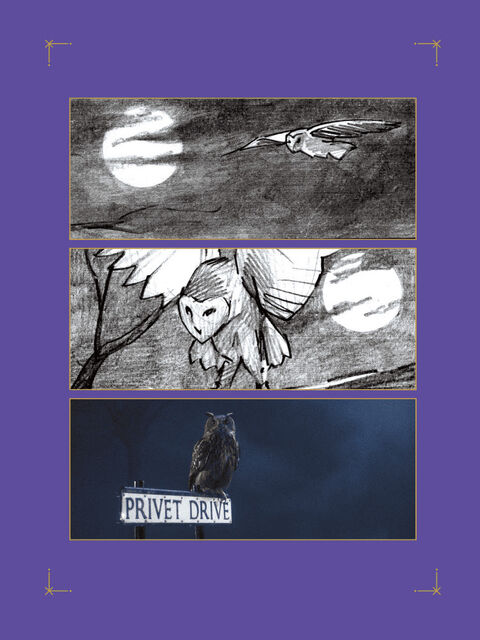 Гаррі Поттер: розкадрування. Джоді Ревенсон