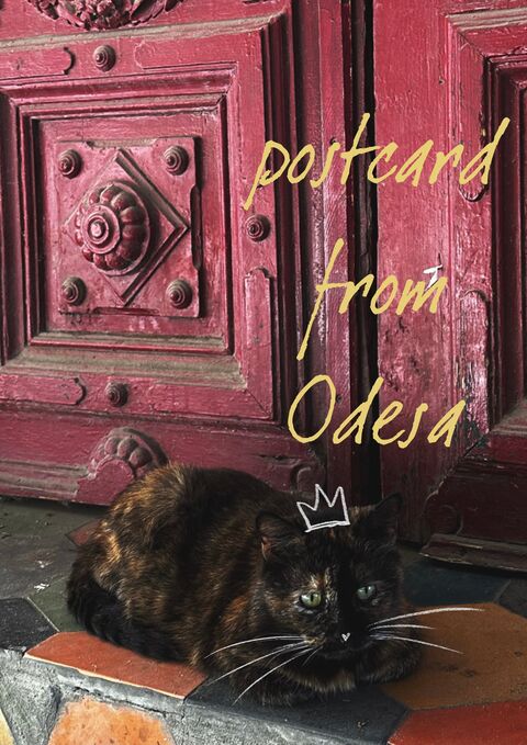 Postcard “Odessa Cat”