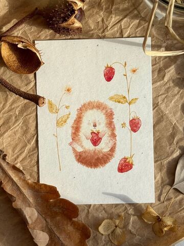 Postcard "Hedgehog"